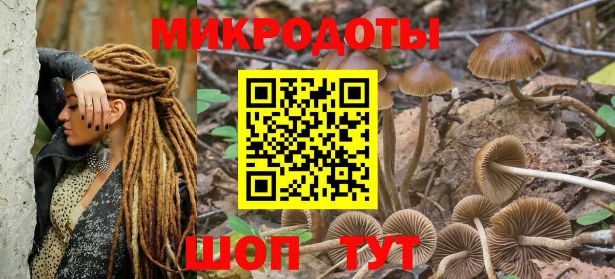 Псилоцибиновые грибы Magic Shrooms Осинники